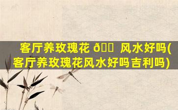 客厅养玫瑰花 🐠 风水好吗(客厅养玫瑰花风水好吗吉利吗)